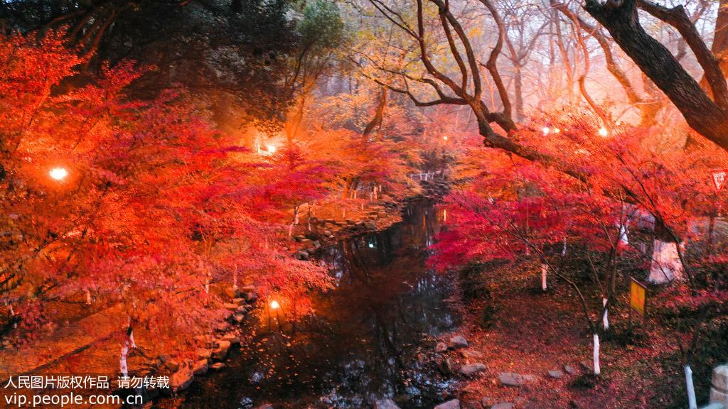 InZhejiang's tweet photo. #LifeinZhejiang #ZJTravel #ZJSnapshot #nature #scenery
Winter never dims the scenery beside the West Lake in #Hangzhou, E China’s #Zhejiang, as it still keeps the fusion of colored woods and limpid water in December. (via People's Daily) https://t.co/GutNyrcWOT