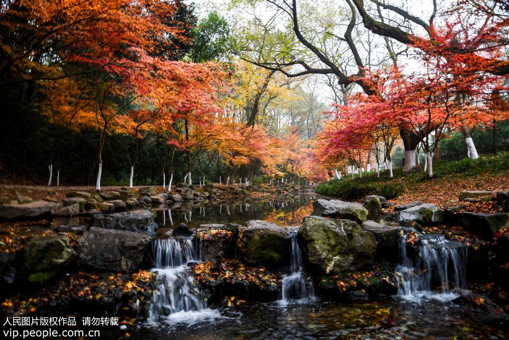 InZhejiang's tweet photo. #LifeinZhejiang #ZJTravel #ZJSnapshot #nature #scenery
Winter never dims the scenery beside the West Lake in #Hangzhou, E China’s #Zhejiang, as it still keeps the fusion of colored woods and limpid water in December. (via People's Daily) https://t.co/GutNyrcWOT