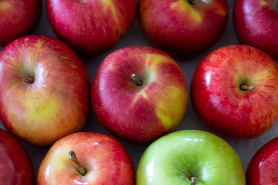 bctreefruits's tweet photo. We like red ones AND green ones! What's your favourite variety??
#bctfapples #canadiangrown #lookforourleaf https://t.co/QnG5JnfTZn