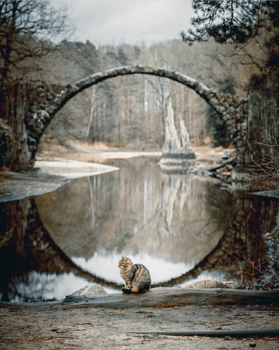 mithuna_mithuna's tweet photo. Coğrafya bilgisi🌍

RAKOTZBRÜCKE ŞEYTAN KÖPRÜSÜ
Ortaçağ'da Avrupa'nın pek çok yerinde bazı köprülere şeytan köprüsü adı verilmiş. Bunlar'dan biri de 1860'ta Almanya'da yapılan Rakotzbrücke. Bu köprü yansıması ile gözlem noktası ne olursa olsun tam bir daire oluşturacak şekilde https://t.co/nZMdQR1NoQ
