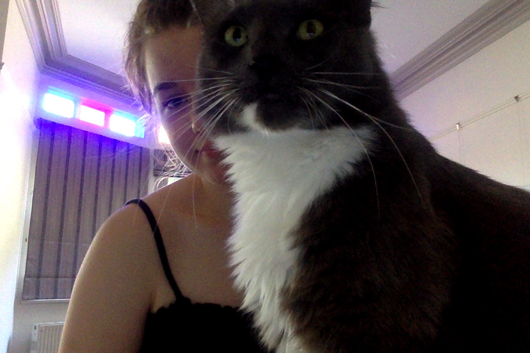 ella_ogorman's tweet photo. Looks like my assignment won't be getting finished tonight, because my cat has decided he wants to hang out. #ALM101 https://t.co/4sDtg0XR0b