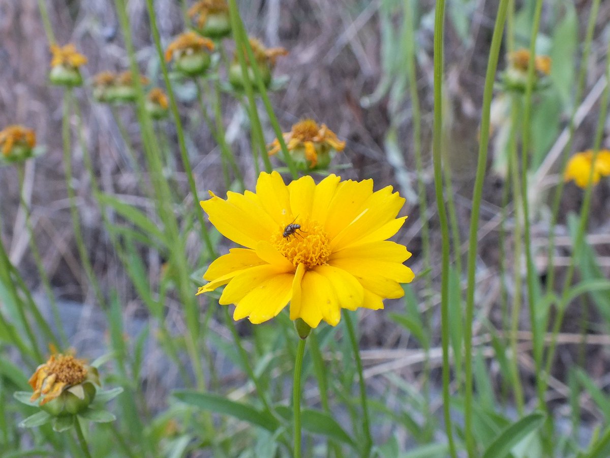 Steve Teichert (@fahrplanstephen) on Twitter photo 