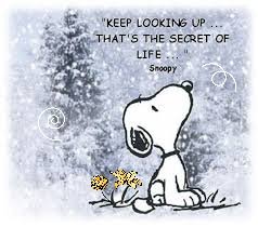 ♡Vanita ♡ (@vanitacoetzee) on Twitter photo 