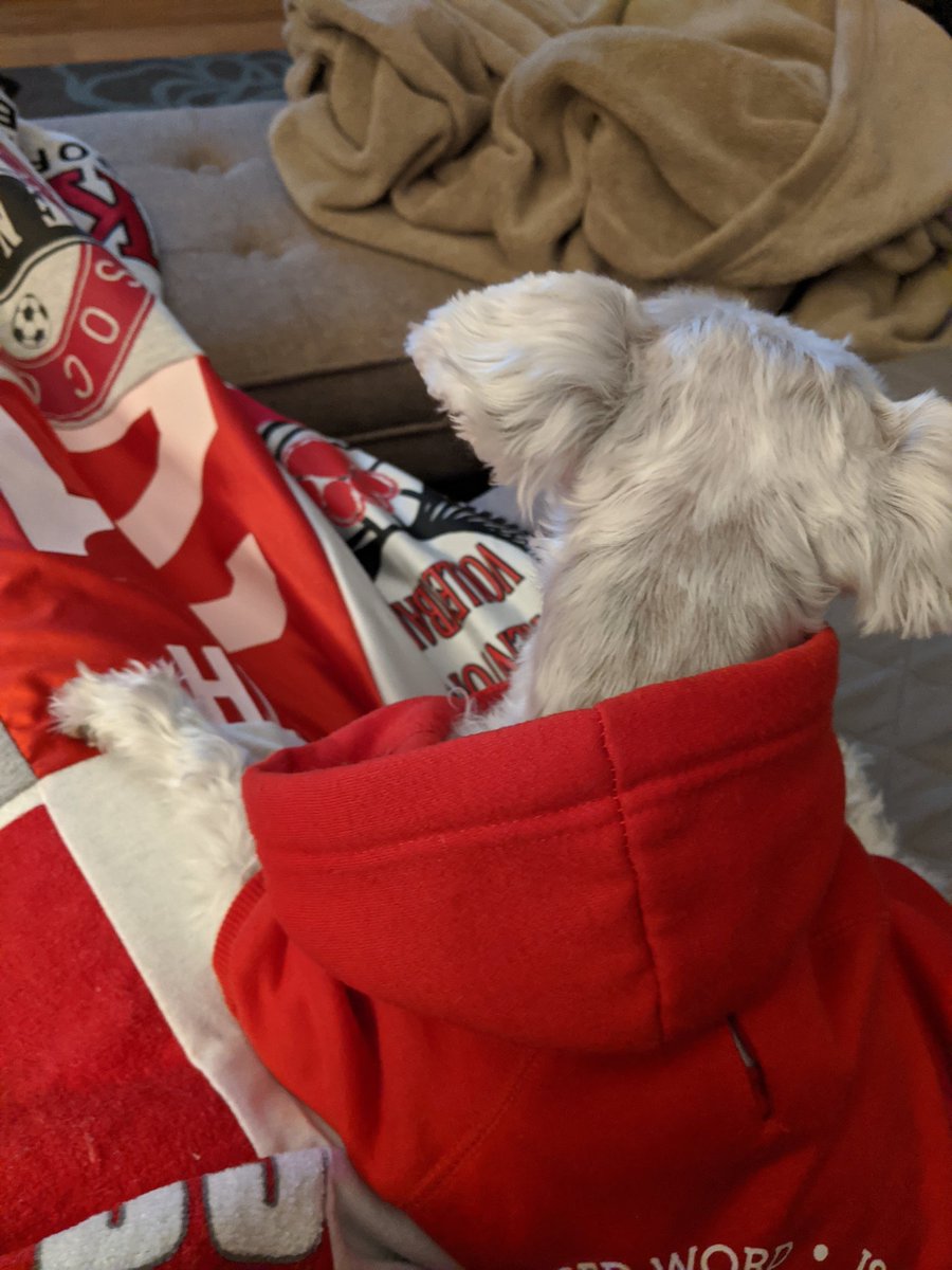 eggsnsam's tweet photo. @Code8Movie #MyCode8buddy really loves the movie and wanted to stay close during the action scenes https://t.co/XwA0YJXQrq