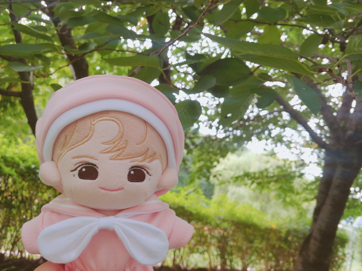 ddo_doll's tweet photo. 지금 보니까 약간 초록매실 같은🤔 https://t.co/W5YHesm1O8