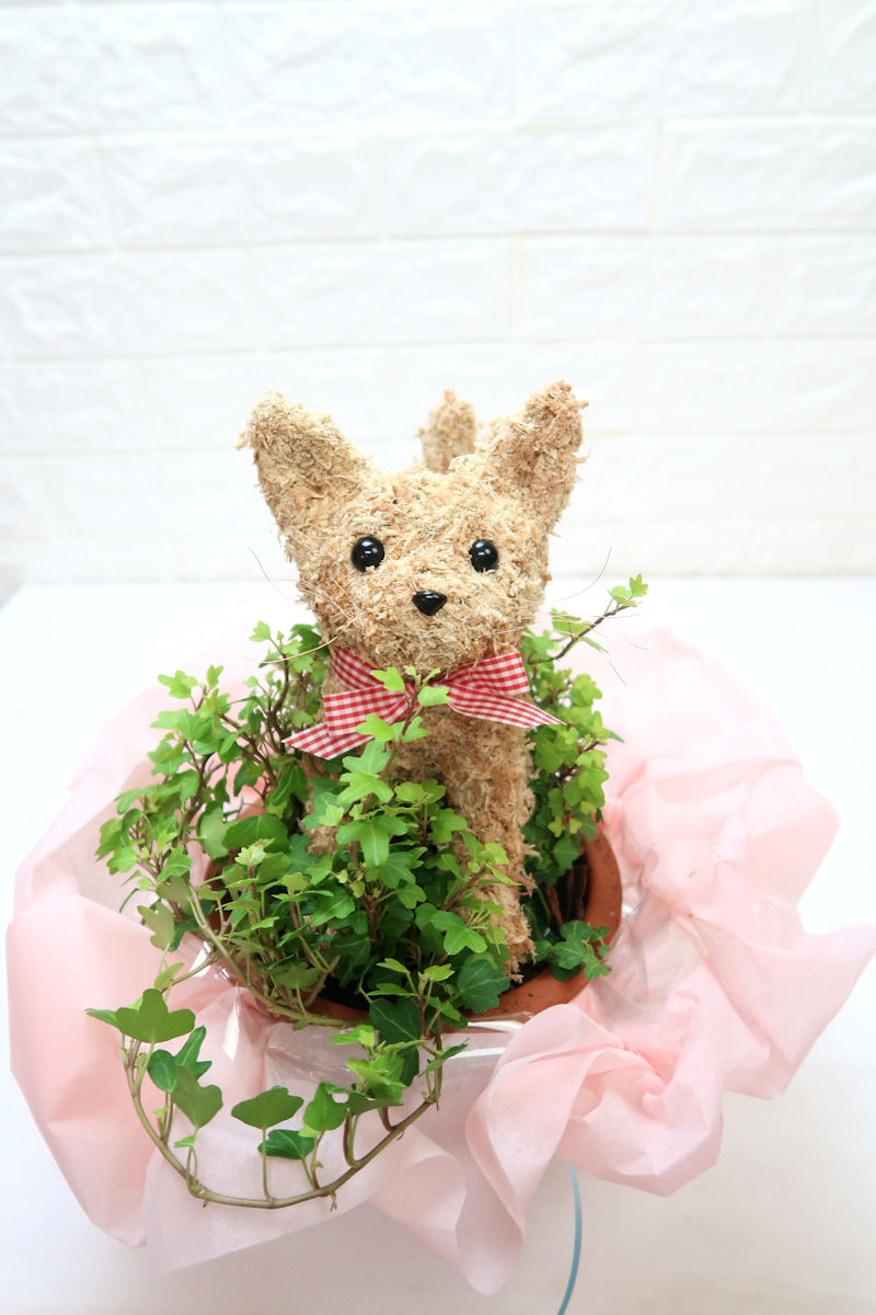 花ちゃん ペットのお悔やみお供え花でご利用いただきました 猫のトピアリー鉢植えを制作させていただきました T Co Bumienlrcf トピアリー猫 ペットのお供え 猫好きさん 癒しの花 ペットのお悔やみ アトリエ花倶楽部 T Co 7jq7m2fnz3