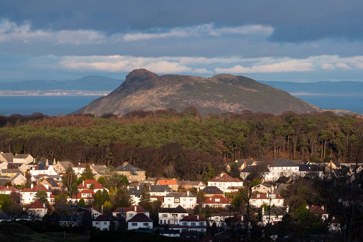 The Buckstone Grin - the forest haven of the Buckstone suburb hangs like a badly aligned mouthful of teeth below a conifer moustache on the inner city toad face of Arthur's Seat #ScottishPoetry #Edinburgh #ScotlandIsNow @VisitScotland