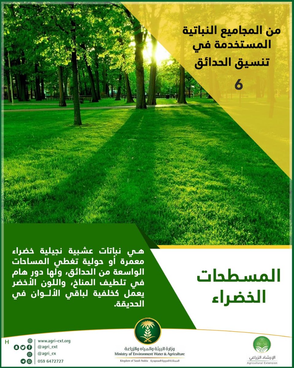 الإرشاد الزراعي Sur Twitter من المجاميع النباتية المستخدمة في تنسيق الحدائق المسطحات الخضراء رسائل إرشادية الإرشاد الزراعي