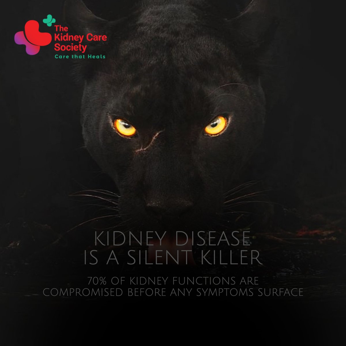 Most of the times kidney diseases have no symptoms.  Get your and your families kidney function checked today. Stay safe, stay protected.

#SilentKiller #KidneyCare #KidneyDiseases #KidneyDiseaseSymptoms #KidneyHealth