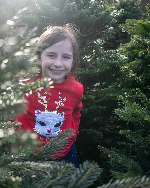 _she_sees's tweet photo. Literally cannot wait for the Christmas holidays to start, can you? (This one can't either) https://t.co/ttnuO4c4OG https://t.co/qHlDGBm8AN