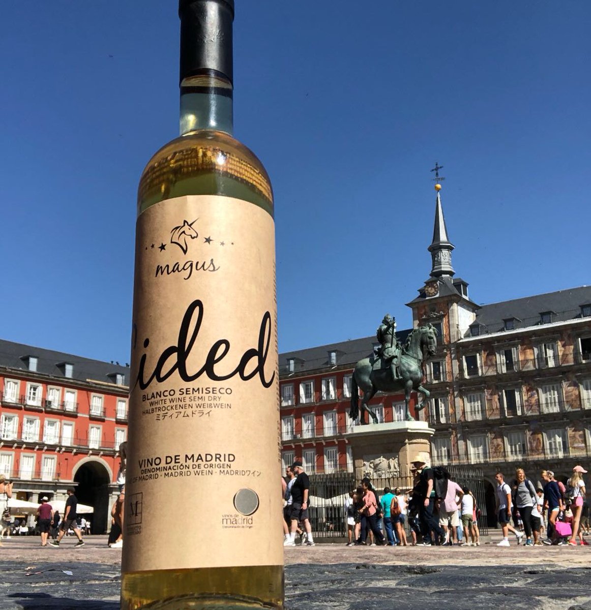 ✨You might or you might not have heard about Cided, a semi-dry white #wine produced within <a href="/VinosdeMadridDO/">Vinos de Madrid CRDO</a> 😉a beautiful example of balance between sweetness and acidity🥂very expressive and aromatic with hints of dried apricots &amp; orange jam🍊
Happy #WineWednesday #WineLovers