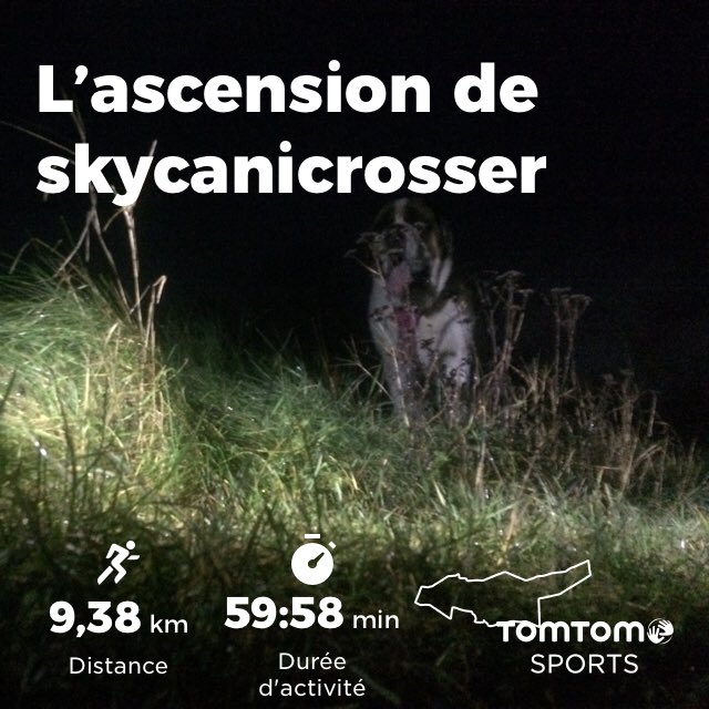 AntoineM08's tweet photo. Épisode 9...km #canicross avec Jouvence mon #stbernard en mode patinoire boueuse , je regrette mes anciennes #speedcross versus mes #caldera Reco #podcast ⁦@BertrandSoulier⁩ comment ça vma ? Et l’ #abattoirvegetal dans #lesnouveauxtoques #running #fooding #runlight https://t.co/if0oZebM1c