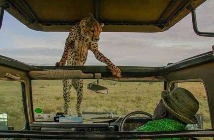 "Should ii come inside or you're coming outside?"