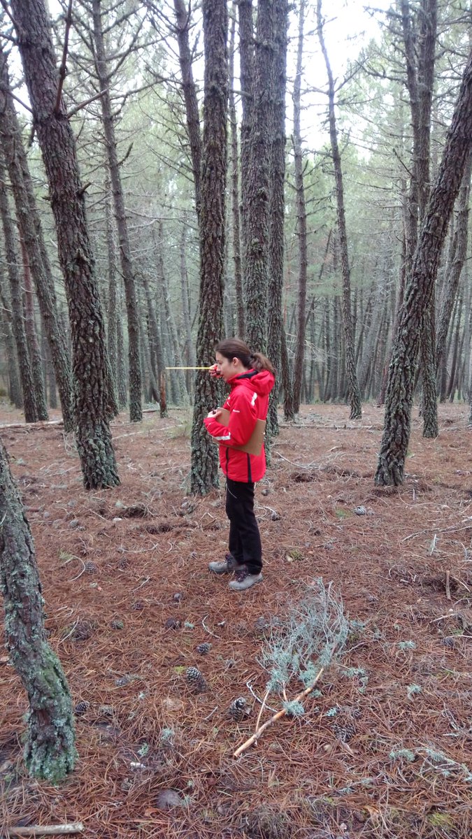 foraforestech's tweet photo. Ayer nuestras compañeras Liber y Raquel estuvieron haciendo trabajo de campo en Casarejos.
Tomaron datos con ayuda del #dendroflexometro, la herramienta básica que todo forestal tiene que llevar en la mochila.
👇👇👇👇👇
https://t.co/eMu4lwuWcg
#somosfora #soyforestal https://t.co/EQdFQjL73l