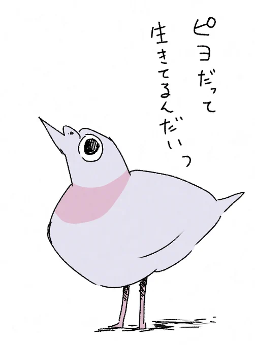 ピヨ(生後3か月 ハトの子供)
