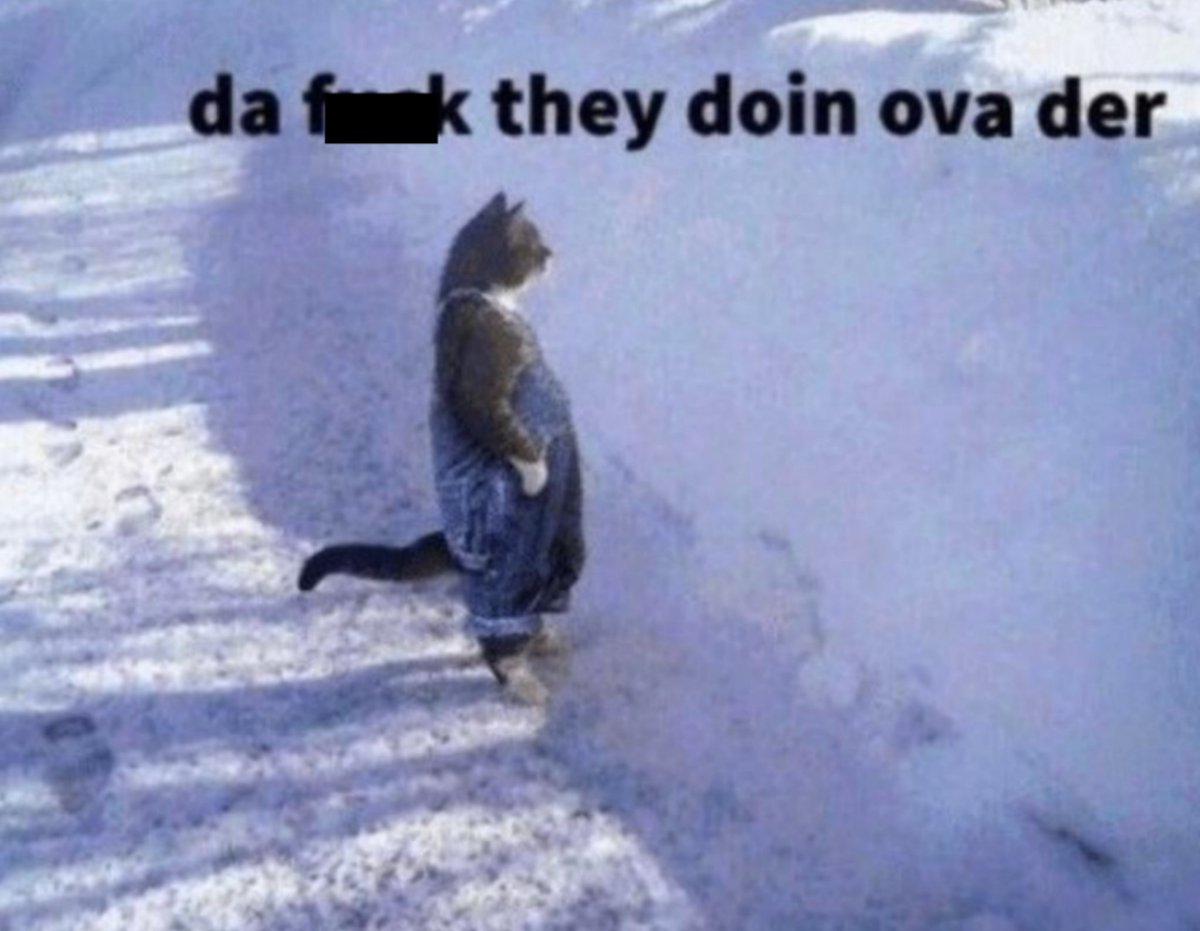 da f--- the doin ova der