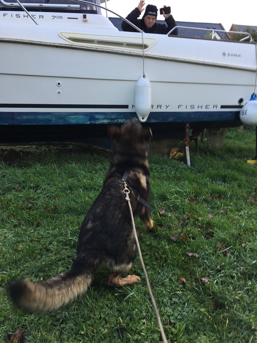 So that’s tracking finished for Turbo. Successfully located criminal hiding in a boat in a field at the end of his last ever training track! 🐾