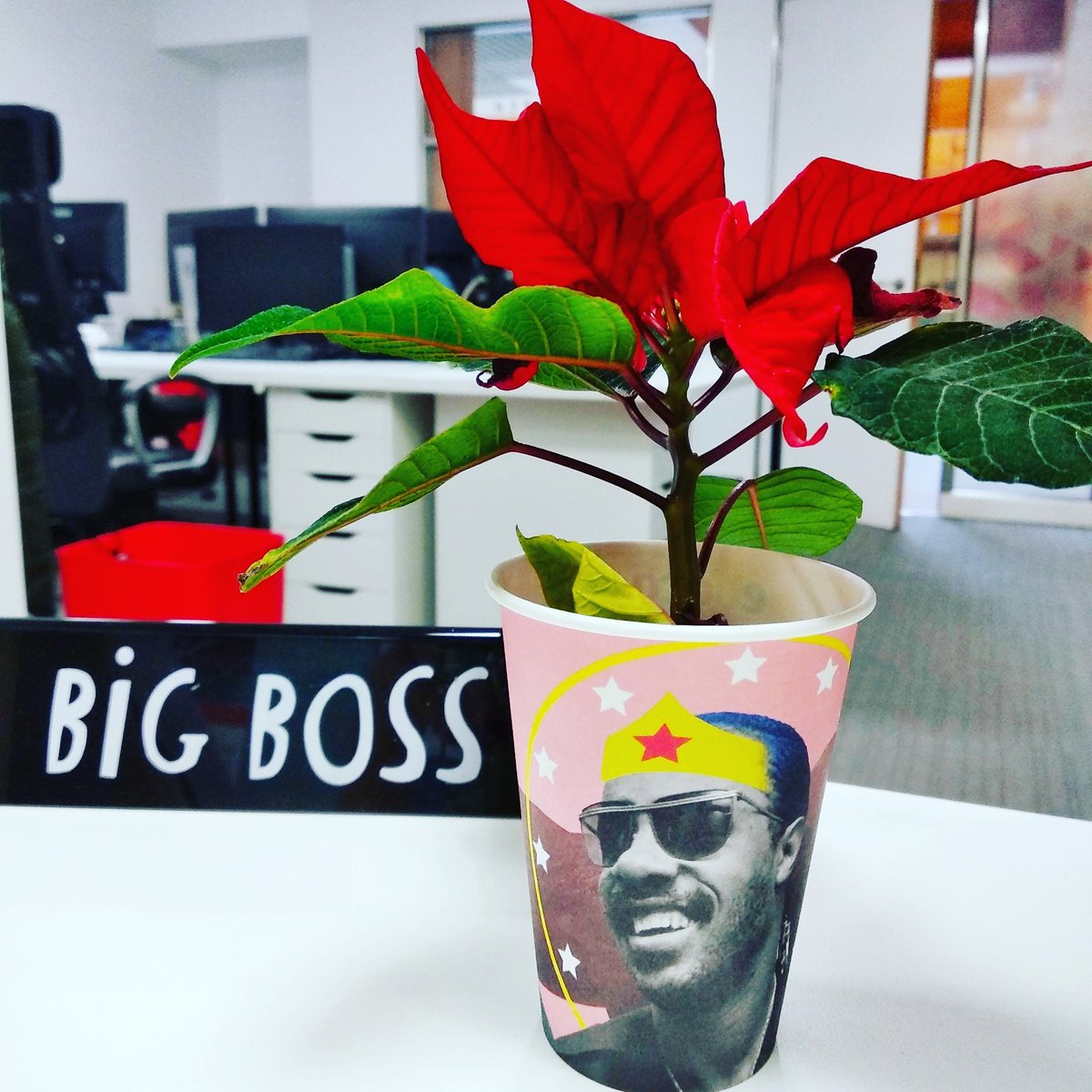 PopUpEngC's tweet photo. 🤩Beautiful present from a student in a beautiful @eboca vase (jarrón) 🤭😜
Christmas is here!!☃️
#popupenglish #EfectoCarolina #WhatIsYourChallenge #learningenglishiscool #zaragoza https://t.co/vrol9XTrye