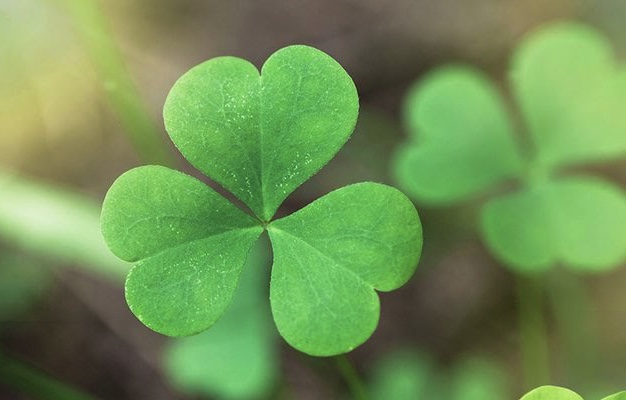 Avui us compartim aquesta imatge que ens ha inspirat per a l'edició 2020 de la #RIDER1000.
Quin significat creieu que amaga?🧐💭

Hoy os compartimos esta imagen que nos ha inspirado para la RIDER 2020. ¿Qué significado creéis que esconde? 🧐💭