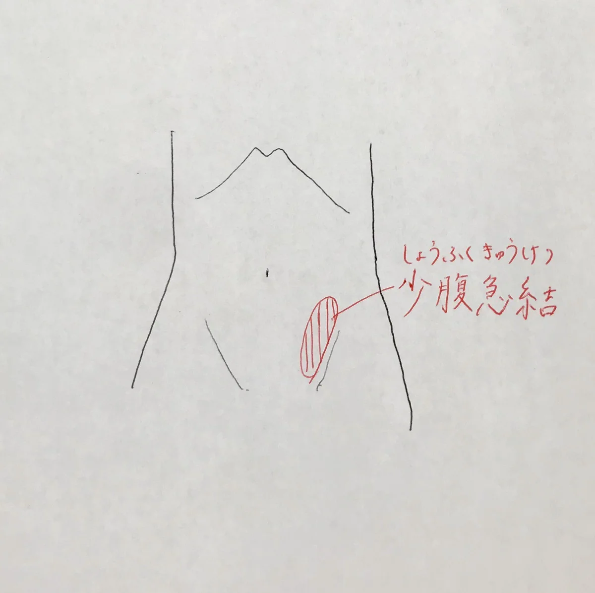 自分の体を触って自分の体の異変を知ってみよう！！！下腹部を押すと嫌な感じがある方は注意「瘀血(血液ドロドロ)」