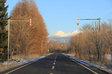 Twitterで画像を見る