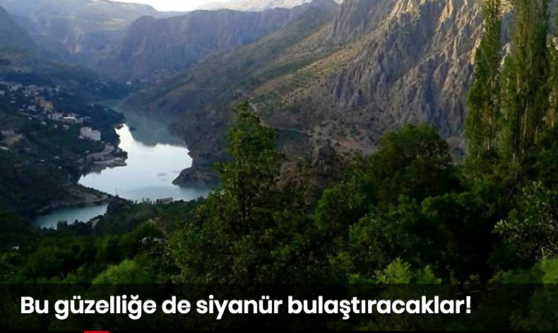 kuzeyormanlari's tweet photo. Siyanür bulaştırmadık doğa parçası bırakmamaya ant içmişler

Kemaliye Çevre Platformu; Kanada, ABD ve Çalık Holding ortaklı bir şirketin Erzincan #Kemaliye'de başlattığı altın arama faaliyetlerine tepki gösterdi. 

https://t.co/Osy96tV3ro https://t.co/LA9HeBVVFc