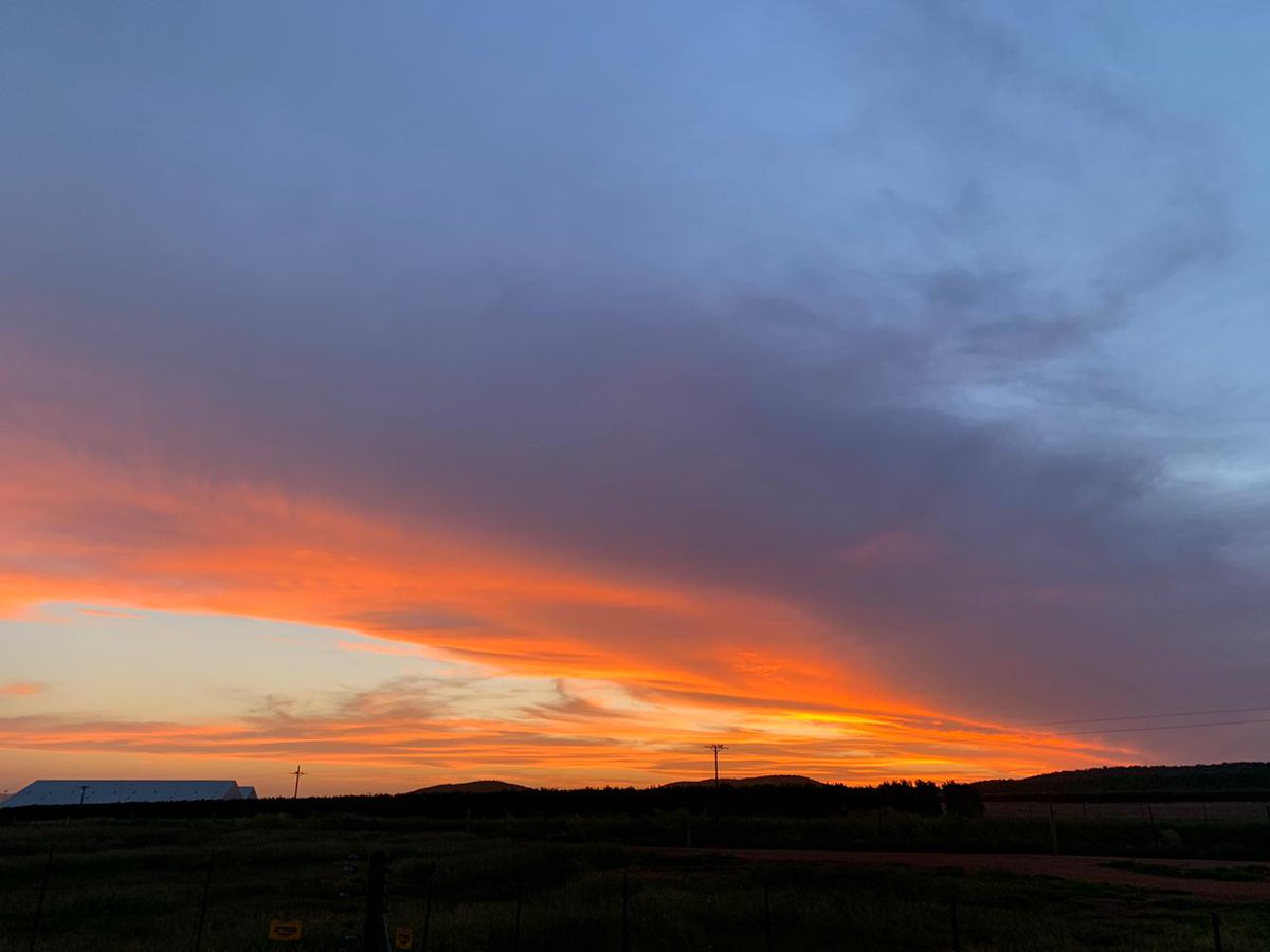 Take a moment to enjoy with us, the most magnificent sunset over our Piet Citrus farm in the Limpopo Province, South Africa…

#PietCitrus #Citrus #Sunset #SouthAfrica #Limpopo