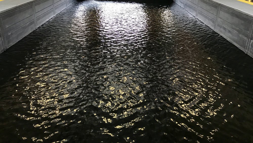 Fathom_Academy tweet media