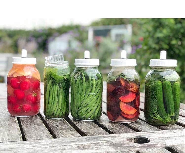 functionalatino's tweet photo. 🥒🍅🥕 Fermentacion de vegetales! 
-
-
📸: @naomiannedevlin
#colageno #colagenobovino #colagenomarino #mexico #cdmx #mx #vidasana #comidasaludable #cuidatucuerpo #amatucuerpo https://t.co/Efy3VXexoy