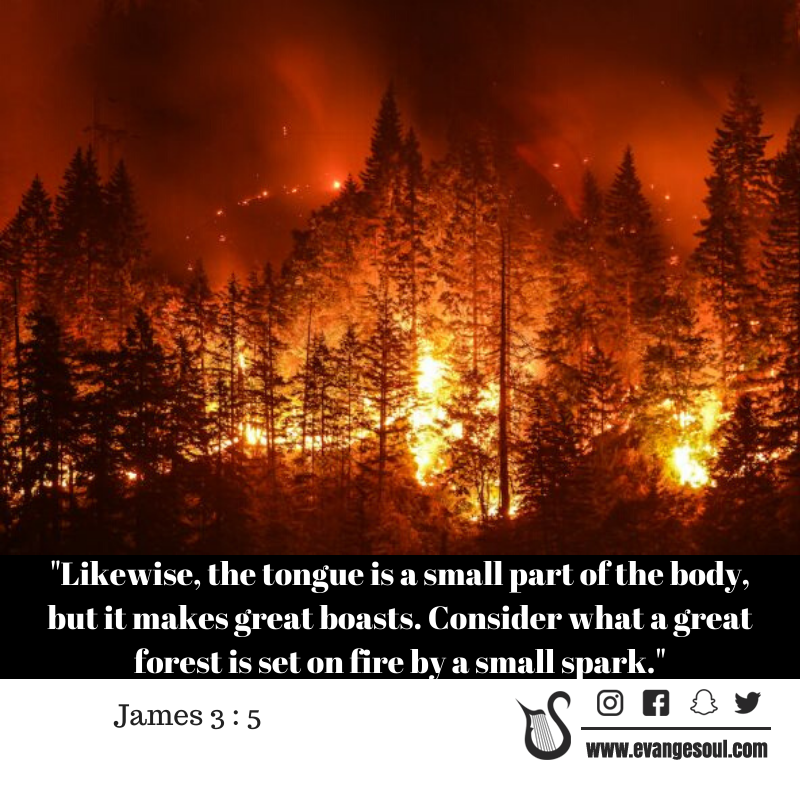 evangesoul's tweet photo. "Likewise, the tongue is a small part of the body, but it makes great boasts. Consider what a great forest is set on fire by a small spark." #James3 https://t.co/y42J9Sczm0