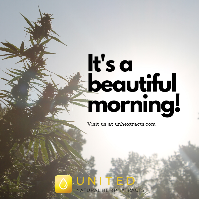 unhextracts's tweet photo. Wherever you are, we hope your morning is off to a great start! https://t.co/Vs6mwu0pRf