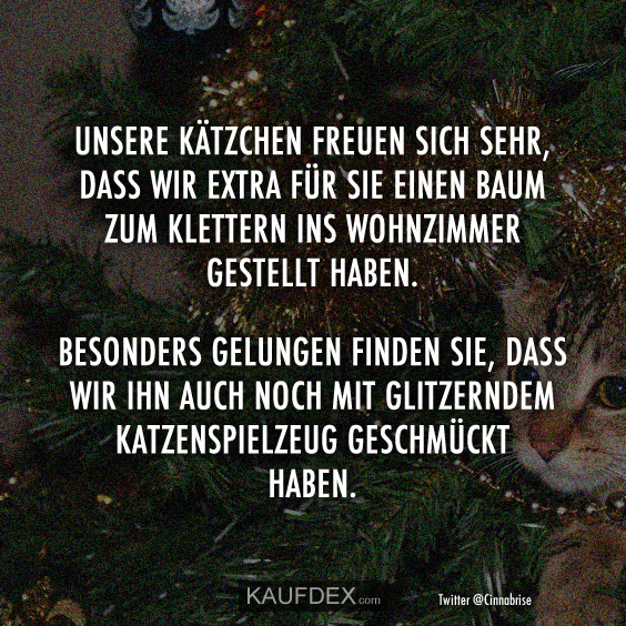 Kaufdex On Twitter Unsere Katzchen Freuen Sich Sehr Dass Wir Extra Fur Sie Einen Baum Zum Klettern Ins Wohnzimmer Gestellt Haben Besonders Gelungen Finden Sie Dass Wir Ihn Noch Mit Glitzerndem Katzenspielzeug