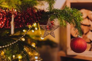 What do the #holidays mean to you? I share some thoughts on Mustard Seed Sentinel. buff.ly/2r3q1Gc #Christmas #family 
@JoanneTroppello