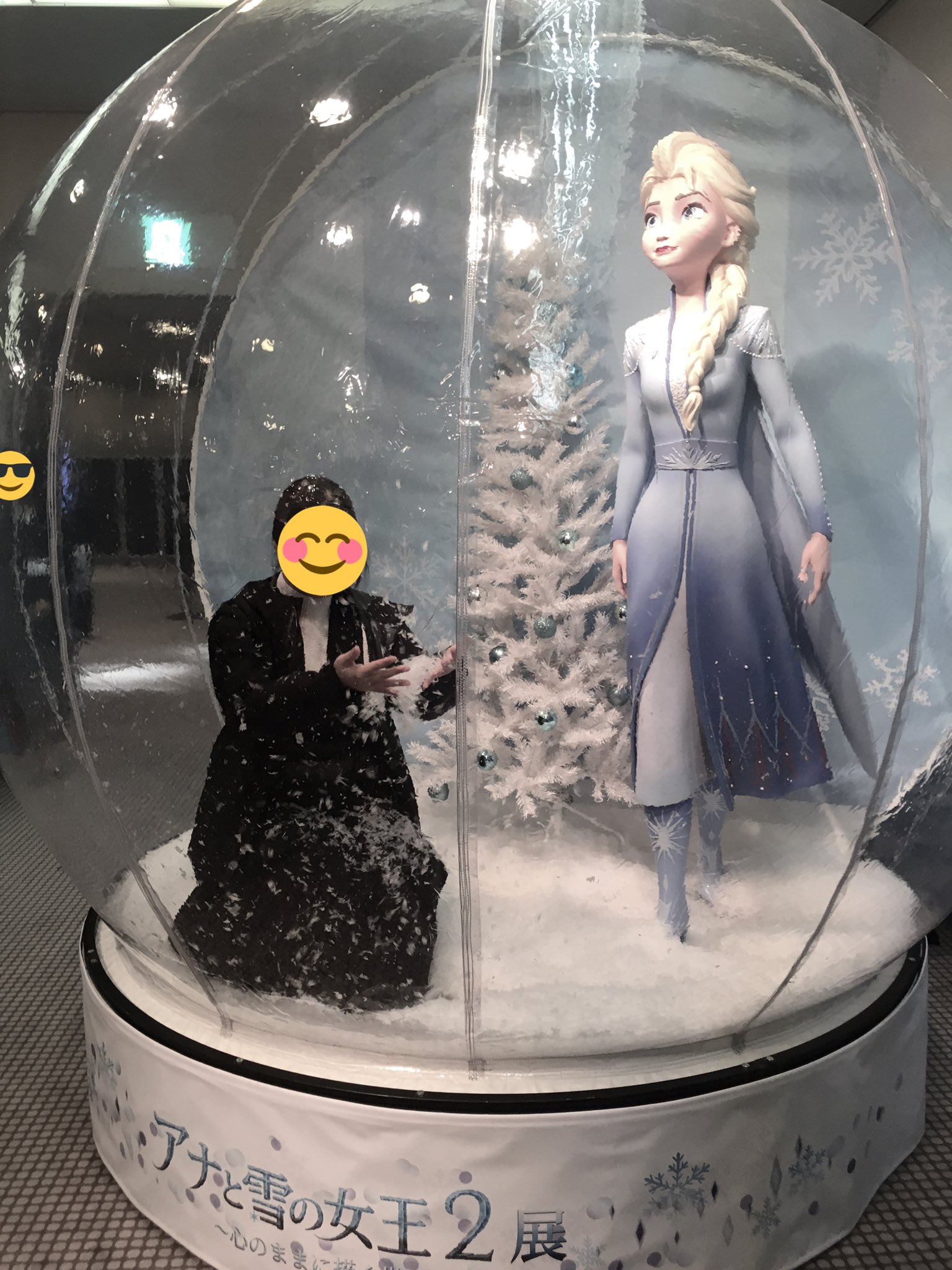 アナと雪の女王2 FROZEN Ⅱ スノードーム スノーグローブ アナ雪