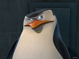penguins_only's tweet photo. In case anyone was wondering what the penguin equivalent was for @notkombuchagirl https://t.co/tVhmUllmr3