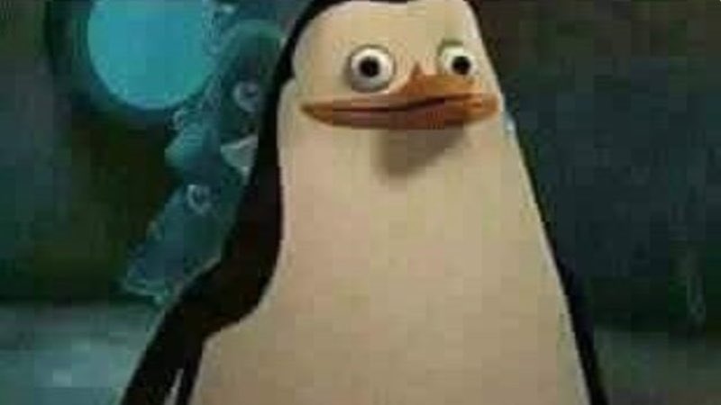 penguins_only's tweet photo. In case anyone was wondering what the penguin equivalent was for @notkombuchagirl https://t.co/tVhmUllmr3