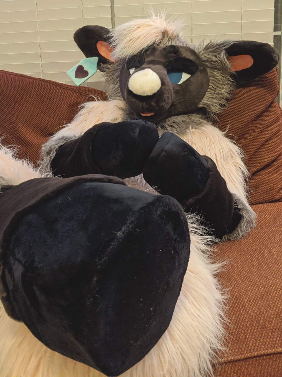DasFlitter's tweet photo. Introducing 𝗦𝗛𝗘𝗔𝗥𝗟𝗬 𝗦𝗛𝗘𝗘𝗣! Yeah, this sweetheart's gonna be a monster. 

PROS: 
🐑 Hooves bigger than your head
🐑 Plush tag, fleece farm
🐑 Pink bleats

CONS:
🐏 Will never hold a pencil again

📸 @FlippingWaffles 
👔 @hounds_teeth https://t.co/o8lB0S3ndb