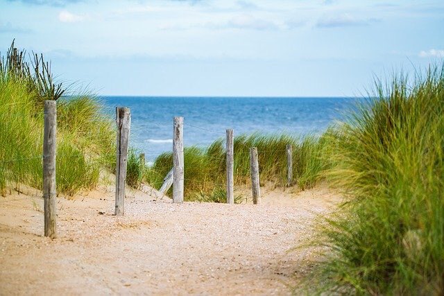 Life takes you down many paths... my favorite one leads to the beach 🏖 

#WednesdayMotivation #beach #SaltLife #salty #sand #sun #vacation #ocean #fishing #boating #diving #surfing #humpday 

RT, LIKE &amp; TAG for a chance to win some Saltlife.com #swag or a #couponcode