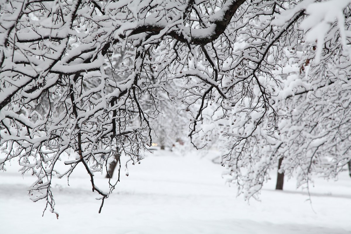 You might never have thought about how sustainable fake snow is, but the people at <a href="/SnowBusinessInt/">Snow Business</a> who make winter happen for blockbuster movies were quite keen to find a way to make it environmentally friendly. So they asked scientists for help:
linkedin.com/pulse/only-sno…