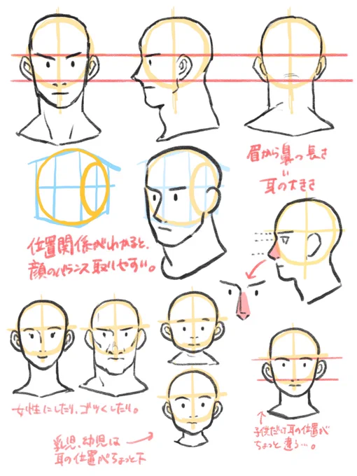 今日、友人に顔の位置関係について話していたのですが、口頭での説明があまりにもお粗末だったので図解。受け売りですが。 