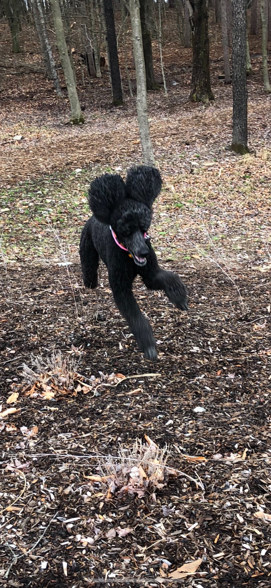 Linda Kenney Baden (she/her) on Twitter "Running as fast as I can to
