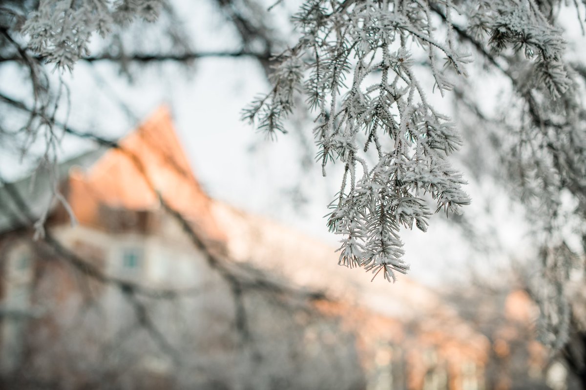 pittstate's tweet image. What’s cooler than being cool?