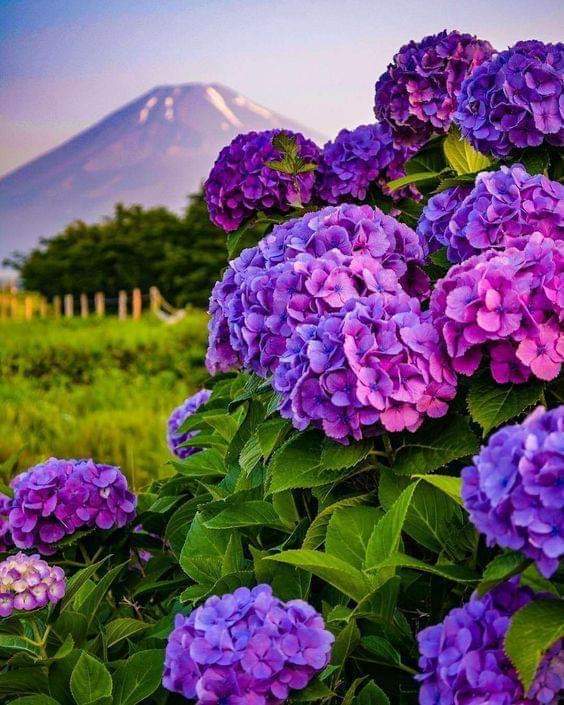 GenaLennon's tweet photo. Good morning Twitterworld. May your day be filled with Blessings and the most beautiful things. I'm moving slow. But I'm moving. I'm in so much pain. But I'm alive. #AllThingsPositive #LifeIsWhatYouMakeIt #WednesdayVibes https://t.co/J5QSksV2Af
