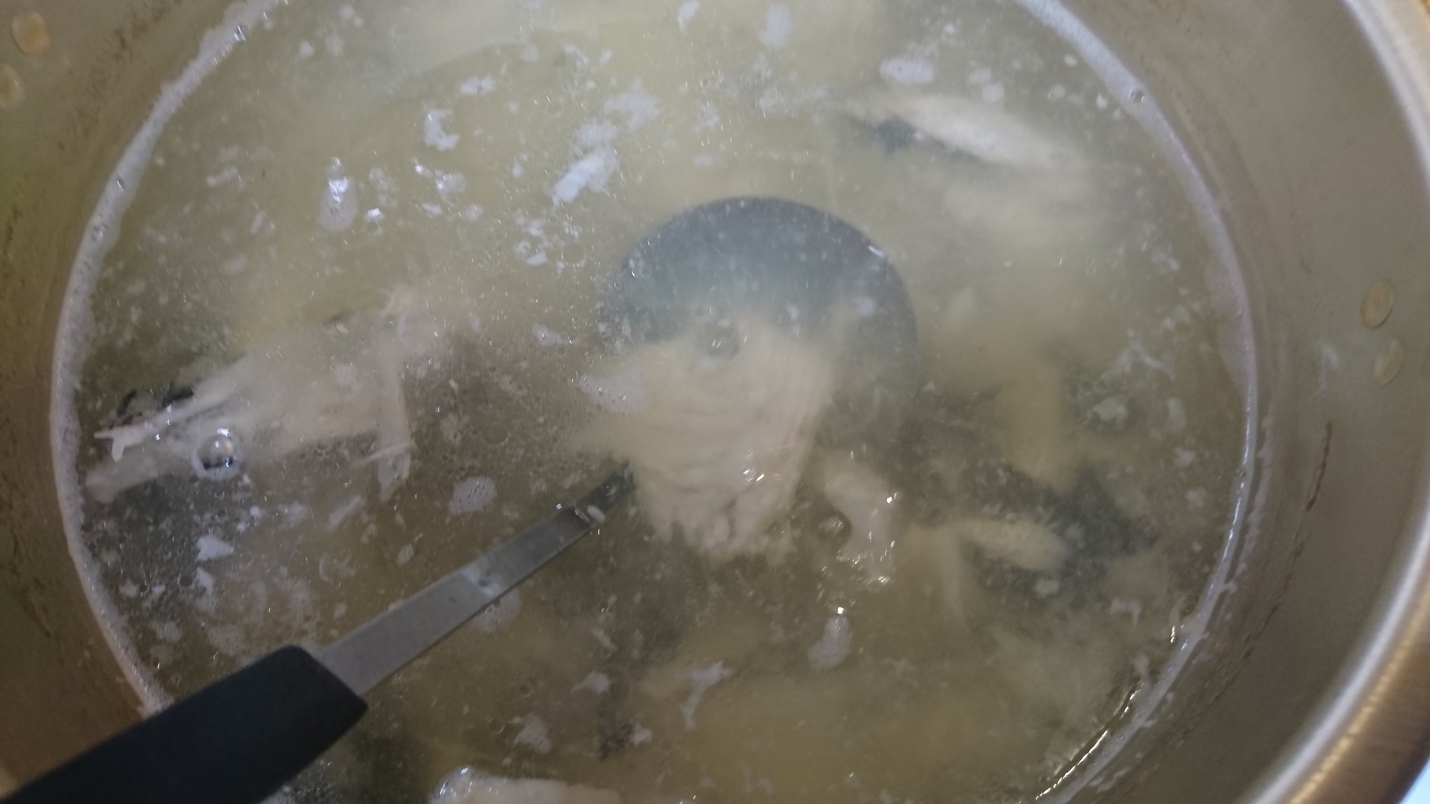 あさくら めひかりスンデル 501dshirayuki Ironna Jp 富岡沖のヒラメの昆布じめ 富岡沖のヒラメのヅケ茶漬け 富岡沖のヒラメのエンガワ いわき沖のヒラメのフリット T Co Ycegrnhm49 Twitter
