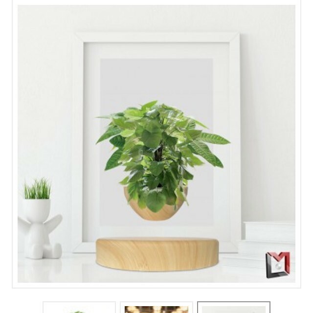 Le Jardin du 21e siècle s’invite chez vous par la voie airs !  #jardindesplantes  #levitation  #decorationinterieur ift.tt/2M9Xia5