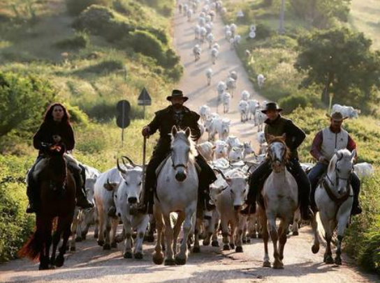 Entente C&C tweet media