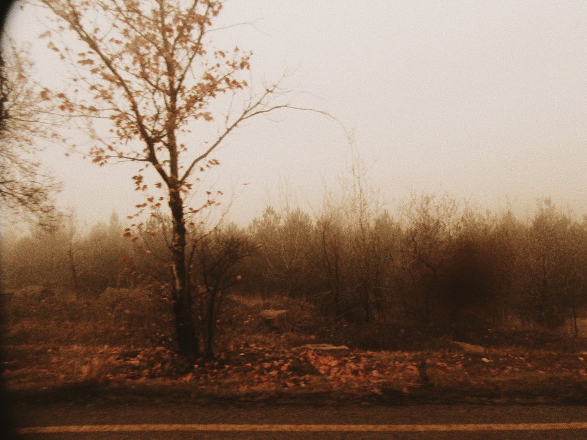 busraymergen's tweet image. ankara&apos;ya theodoros angelopoulos filtresi eklendi