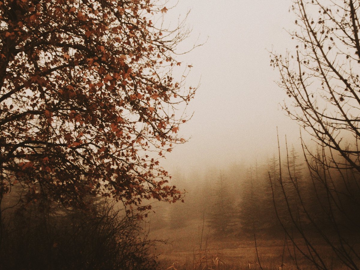 busraymergen's tweet image. ankara&apos;ya theodoros angelopoulos filtresi eklendi