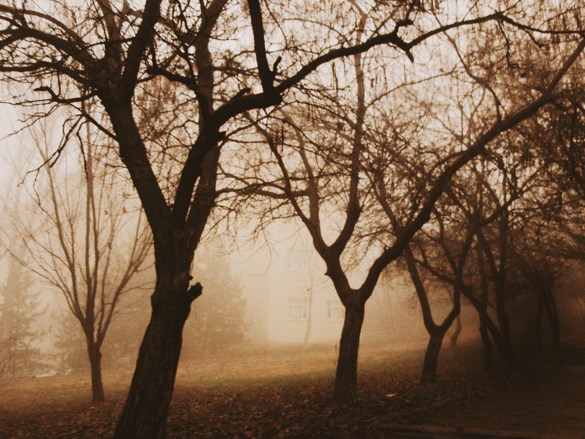 busraymergen's tweet image. ankara&apos;ya theodoros angelopoulos filtresi eklendi