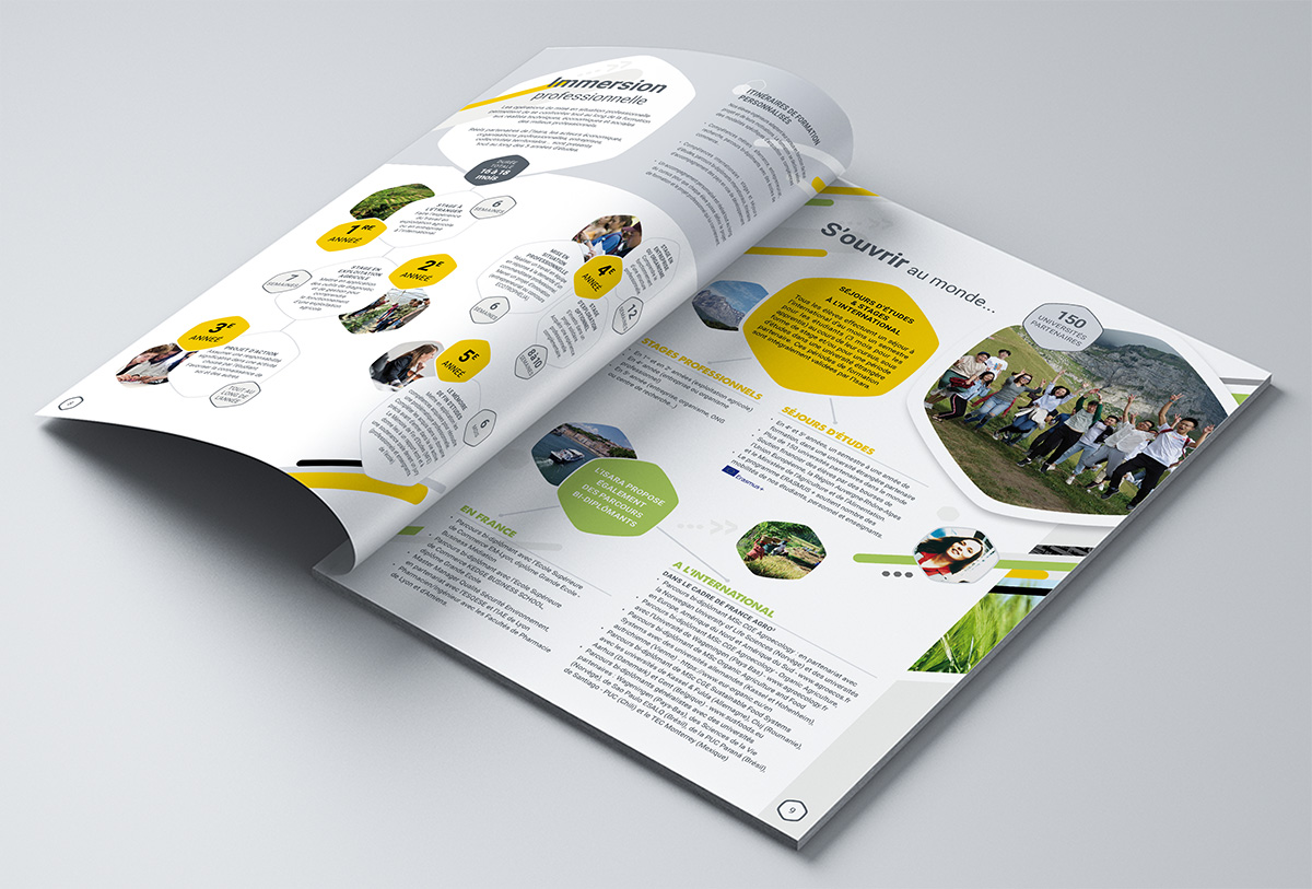 Griffincreation's tweet image. Création de la nouvelle identité visuelle de l'école ingénieur Isara @isaralyon